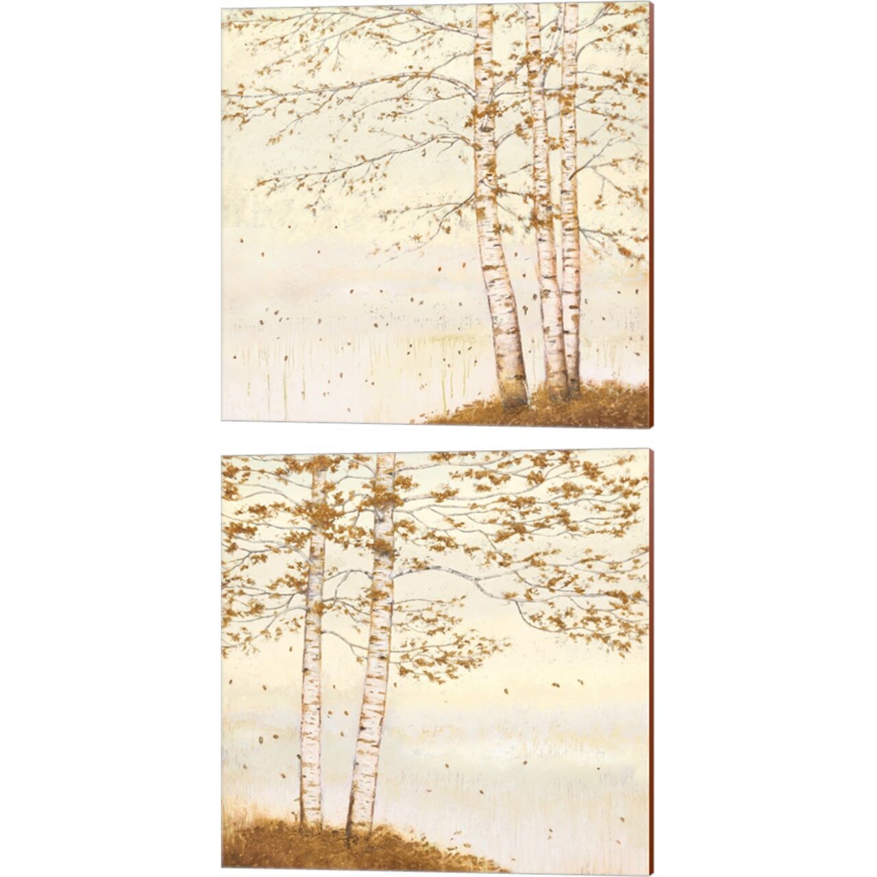 Golden Birch Off White by James Wiens 14" x 14" Canvas Wall Art (Set of 2)